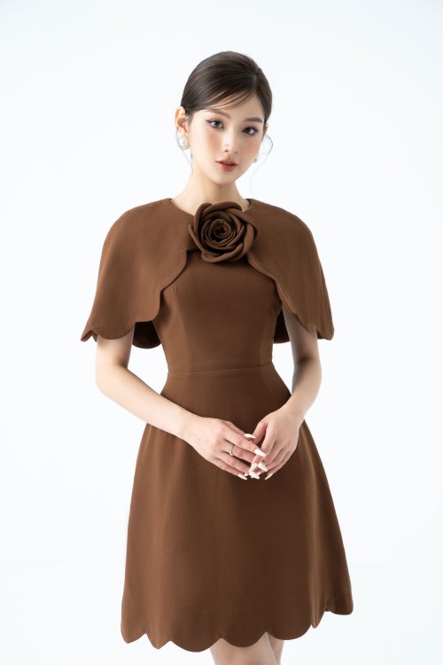 Brown Cape Mini Woven Dress