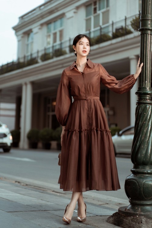 Dark Brown Long Sleeves Midi Dress