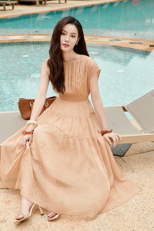 Dark Beige Voile Flared Dress