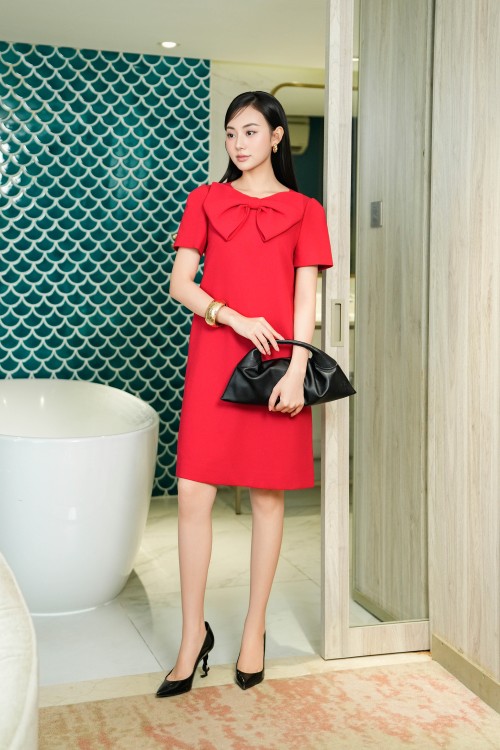 Woven Loose Dress