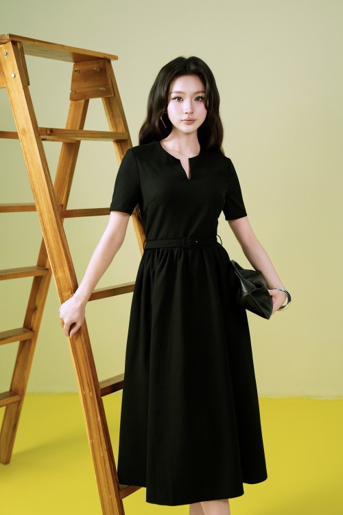 Woven Flared Dress