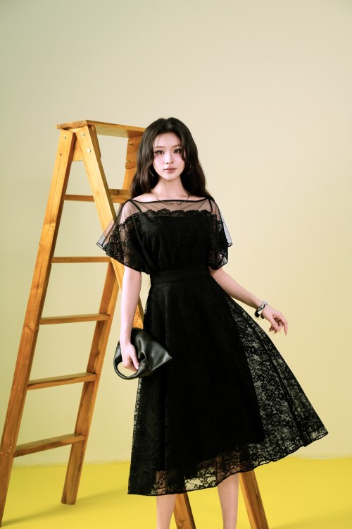 Black Lace Flared Dress