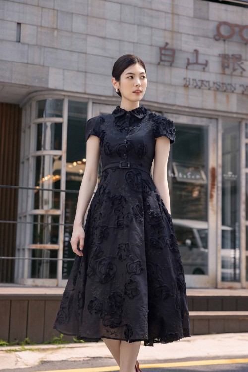 Black Organza Flared Dress