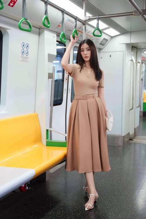 Light Brown Woven Flared Skirt