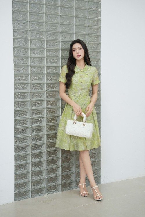 Green nuggets Organza Flared Dress