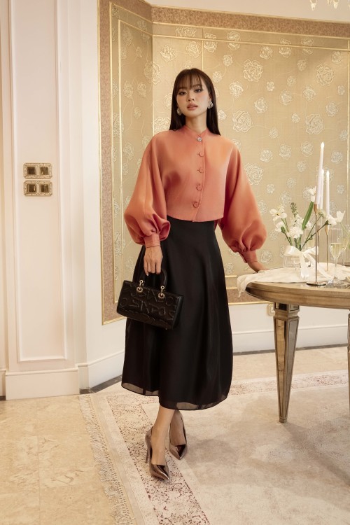 Black Organza Flared Skirt