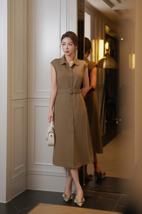 Woven Flared Dress