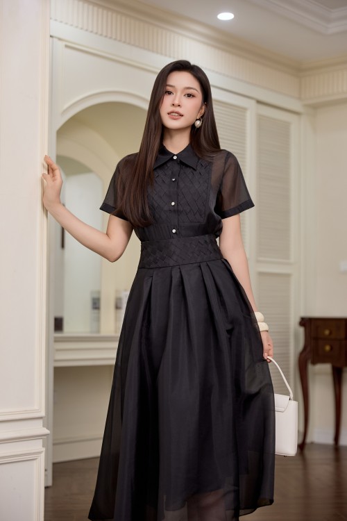 Black Organza Shirt