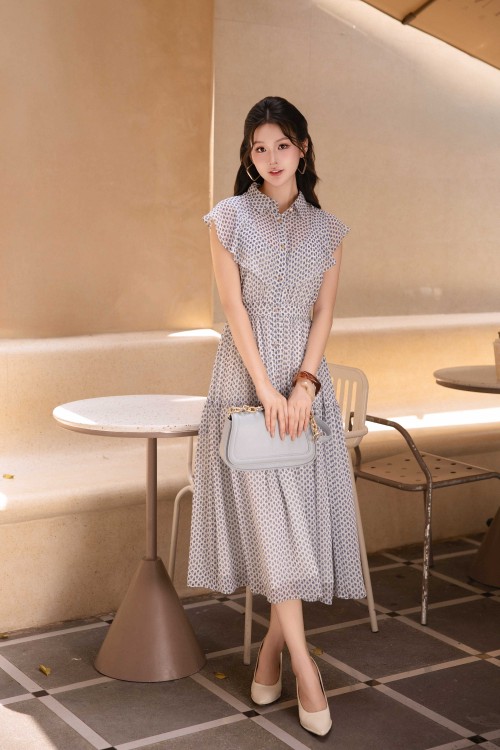 Chiffon Flared Dress 04