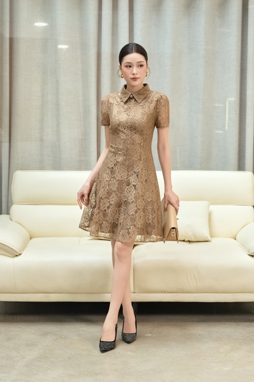 Light Brown Lace Flared Dress
