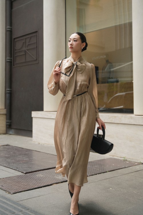 Sixdo Brown Organza Flared Dress With Belt