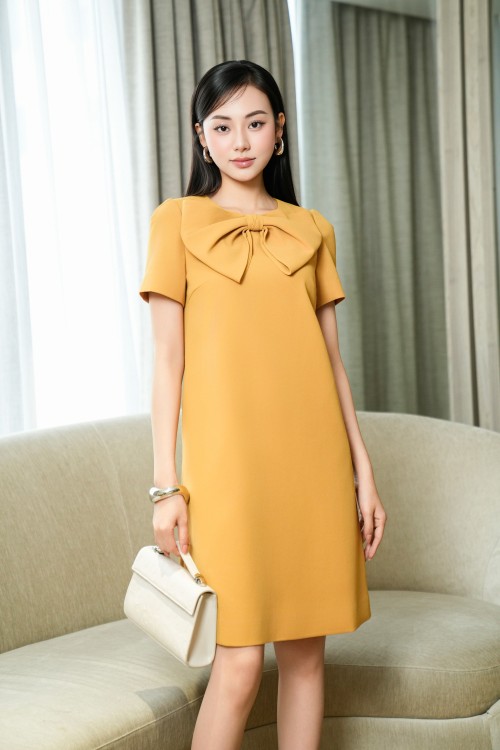 Woven Loose Dress