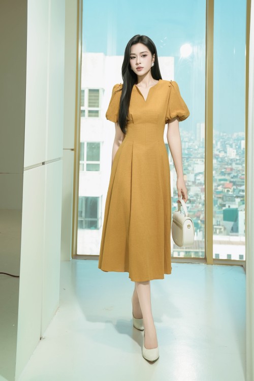 Linen Flared Dress