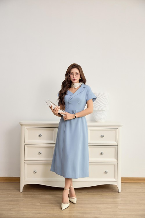 Light Blue Woven Flared Dress