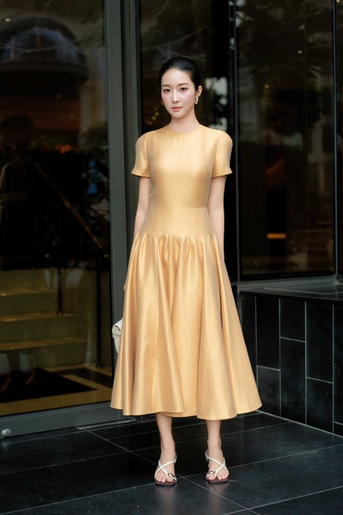 Waxen Woven Flared Dress