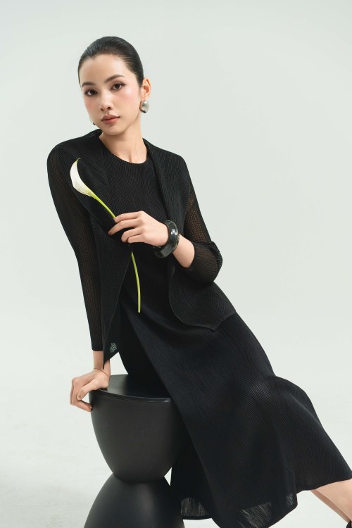 Black Sheer Woven Blazer