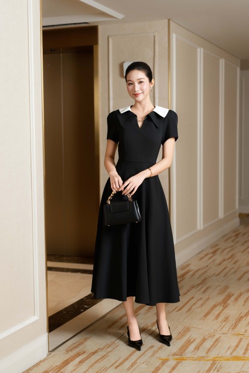 Black Woven Flared Dress With Collar
