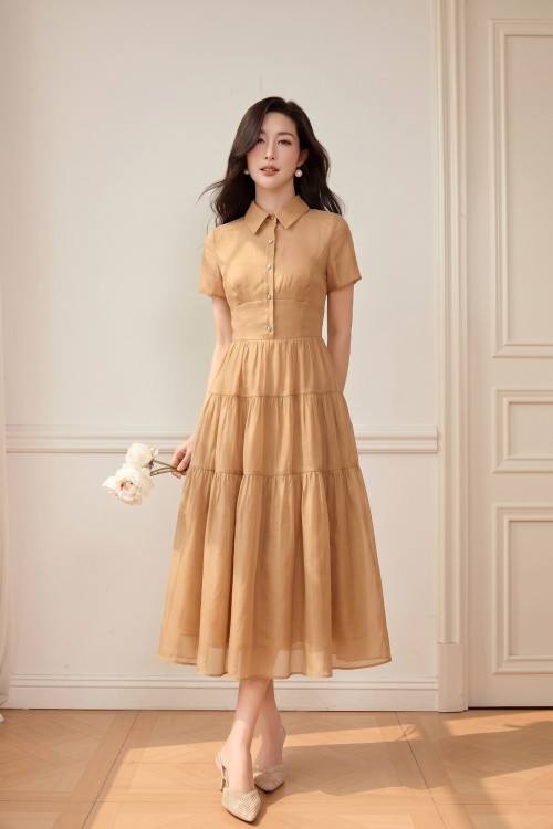 Light Brown Organza Flared Dress