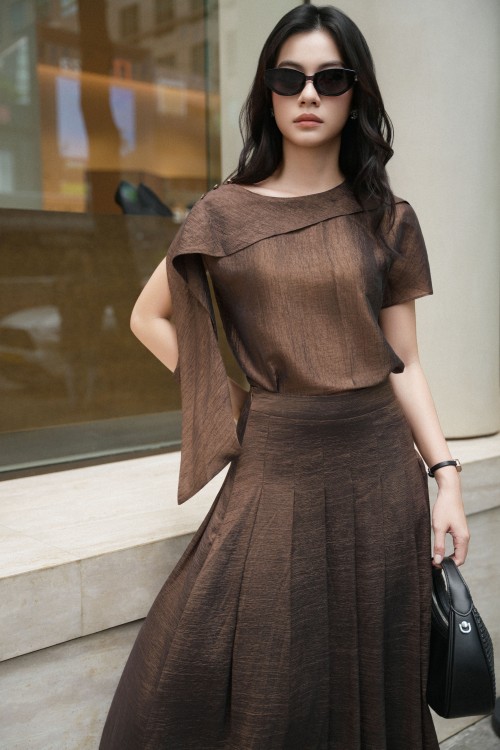 Brown Organza Blouse