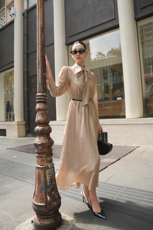 Brown Organza Flared Dress With Belt