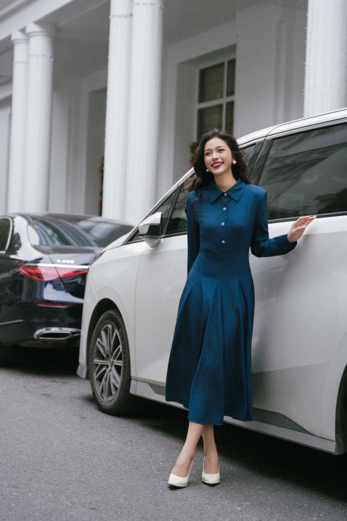 Mallard Green Woven Flared Dress