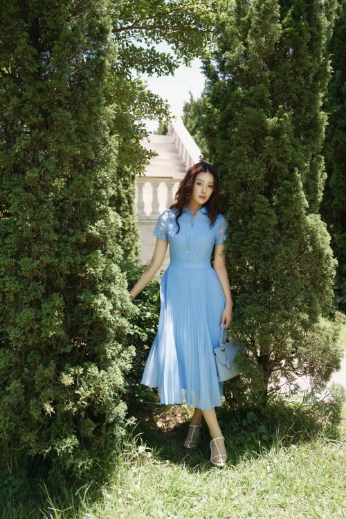 Blue Organza Flared Dress