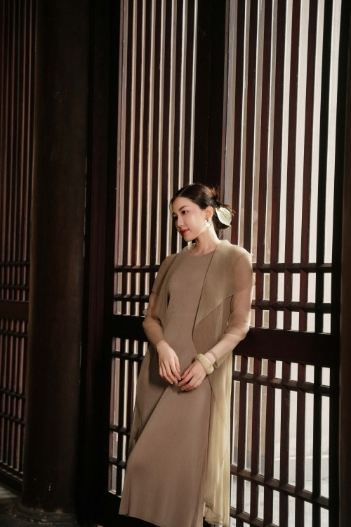 Light Brown Mesh Overlay Woven Flared Dress
