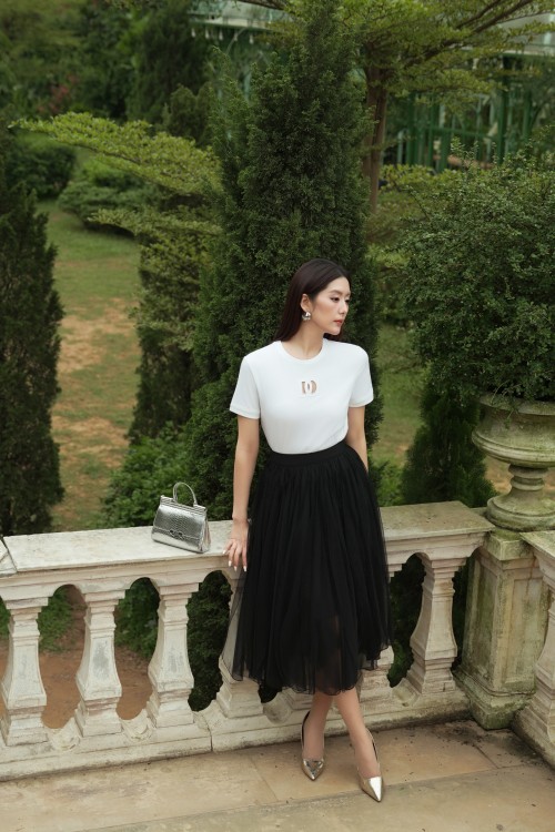 Black Mesh Flared Skirt